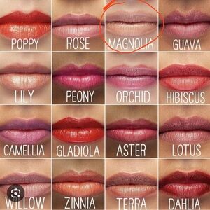 Arbonne magnolia lipstick